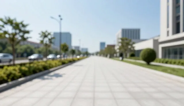 项目进度管理中技术转让的常见问题与应对策略