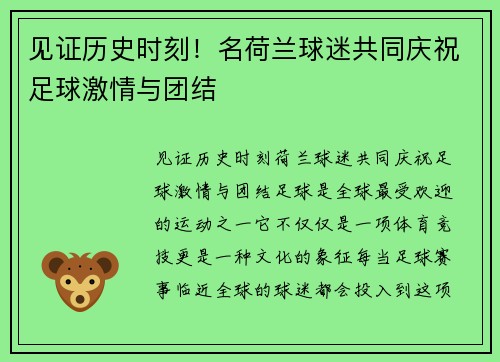 见证历史时刻！名荷兰球迷共同庆祝足球激情与团结