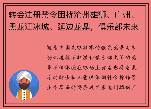 转会注册禁令困扰沧州雄狮、广州、黑龙江冰城、延边龙鼎，俱乐部未来何去何从？