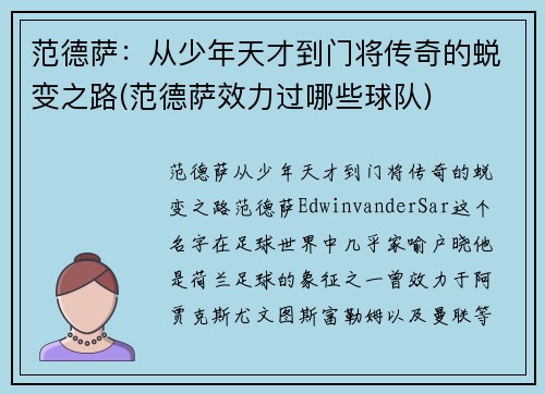 范德萨：从少年天才到门将传奇的蜕变之路(范德萨效力过哪些球队)