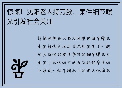 惊悚！沈阳老人持刀致，案件细节曝光引发社会关注